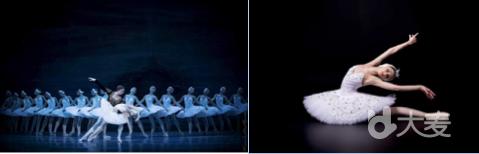 2019第4届北京新年芭蕾—乌克兰基辅大剧院芭蕾舞团《天鹅湖》